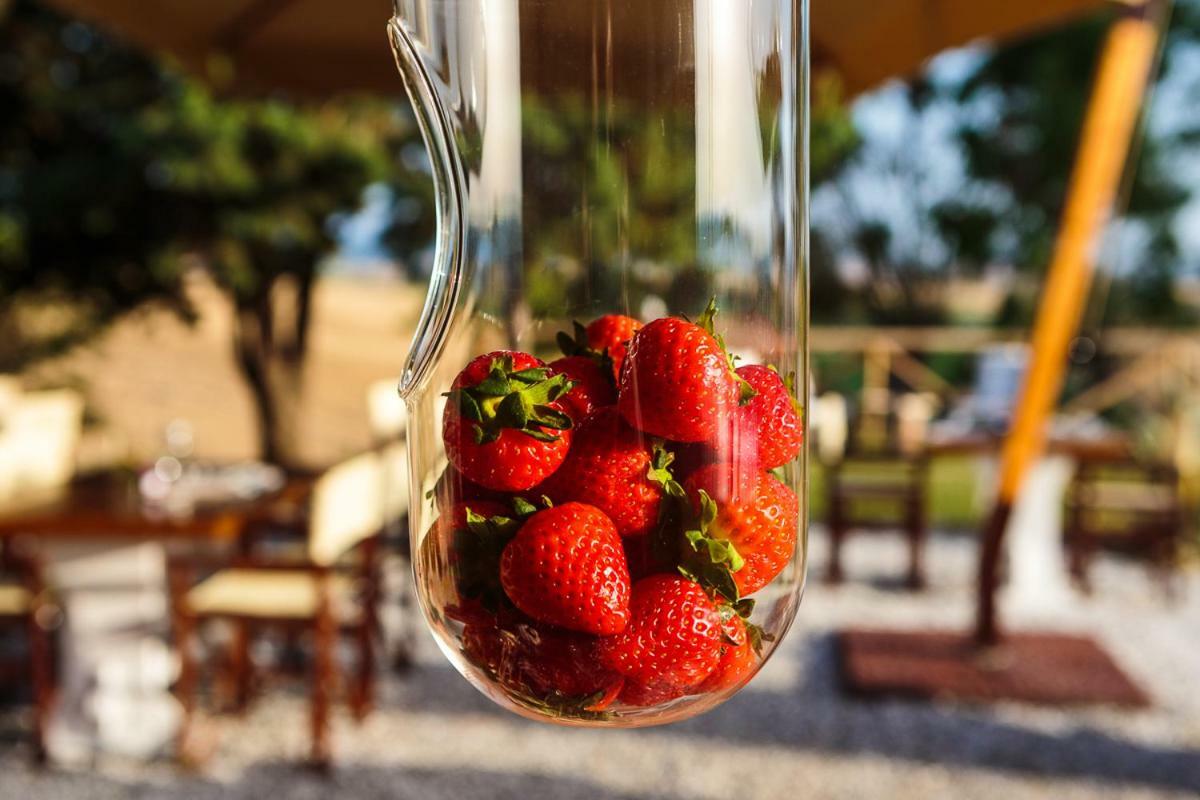 Bed and Breakfast Il Montelletto Санта-Луче Экстерьер фото